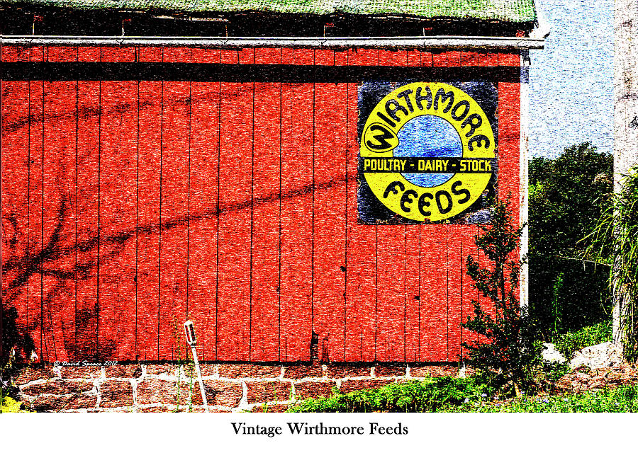 Vintage Wirthmore Feeds Photograph by David Speace