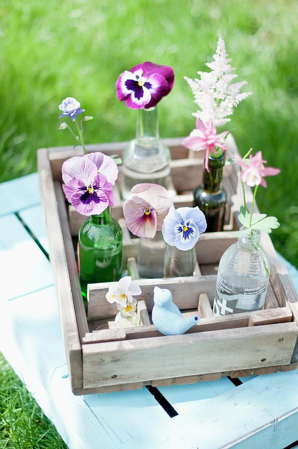 Violas, Pansies, Aquilegia And Astilbes In Various Glass Bottles In Old, Wooden Bottle Crate Photograph by Cornelia Weber