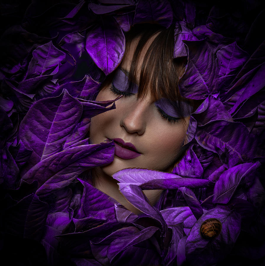 Fall Photograph - ..violet by Alberto Bissacco