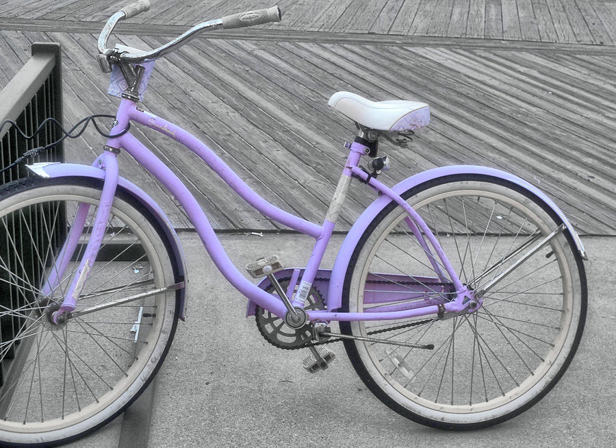 Violet Velocipede Photograph by JAMART Photography