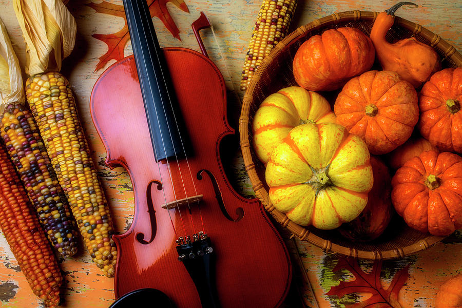 Violin And Autumn Pumpkins Photograph by Garry Gay