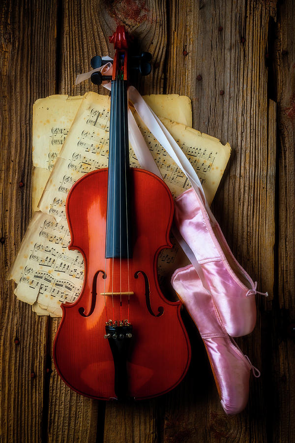 Violin And Ballet Slippers Photograph by Garry Gay