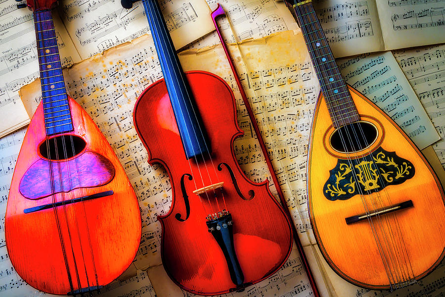 Still Life Photograph - Violin And Mandolins by Garry Gay