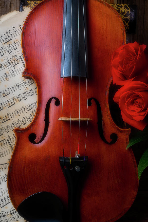 Violin And Two Red Roses Photograph by Garry Gay