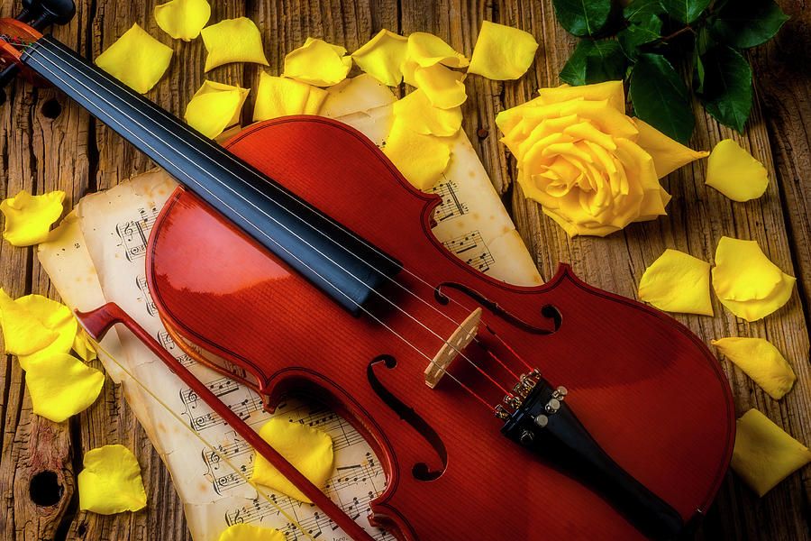 Violin And Yellow Roses Photograph by Garry Gay