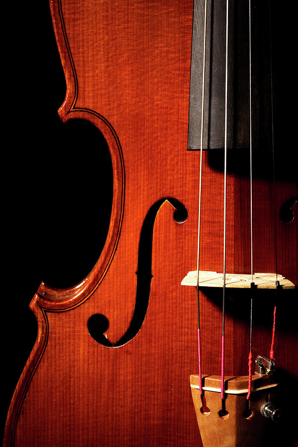 Violin Close-up Photograph by Bluestocking