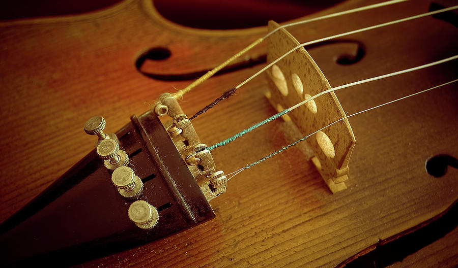 Violin Photograph by Jordanphoto