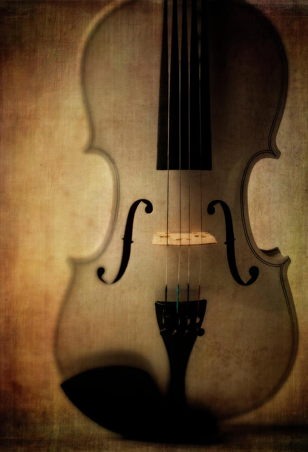 Violin Magic Photograph by Garry Gay