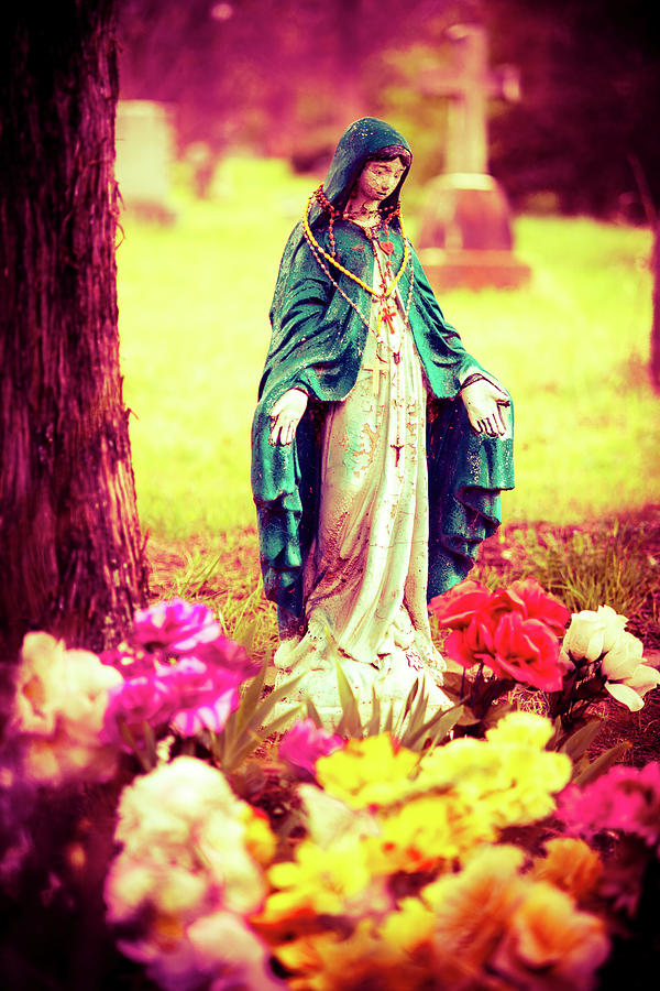 Flower Photograph - Virgin Mary of Colors by Sonja Quintero