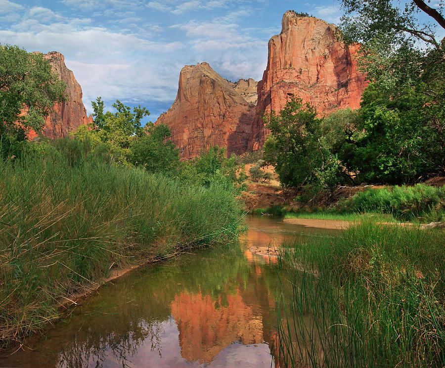 Virgin River And Court Of The Patriarchs, Zion National Park, Utah Photograph by Tim Fitzharris