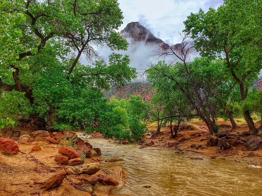 Virgin River by Dan Miller Virgin River by Dan Miller
