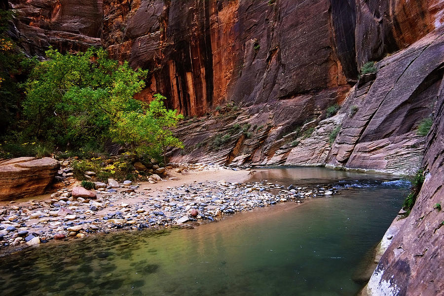 Virgin River Flowing Thru The Narrows Photograph by David Epperson