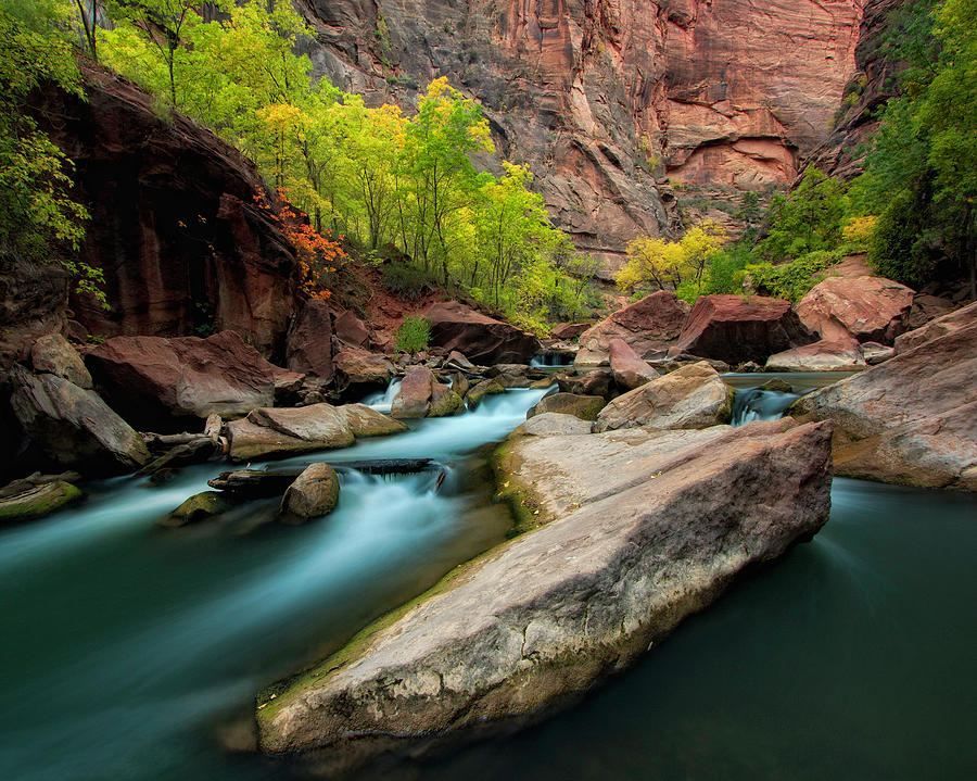 Virgin River In Zion National Park Photograph by Justinreznick