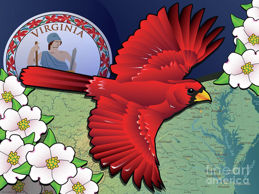 Virginia Cardinal in flight with Dogwood Flowers Digital Art by Joe Barsin
