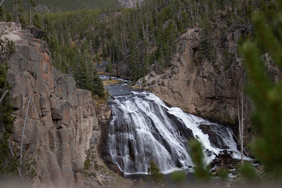 Virginia Cascade in Yellowstone National Park Photograph by JR Cox - Pixels