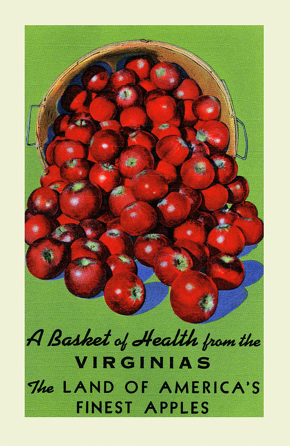 Virginias Finest Apples Painting by Curt Teich & Company