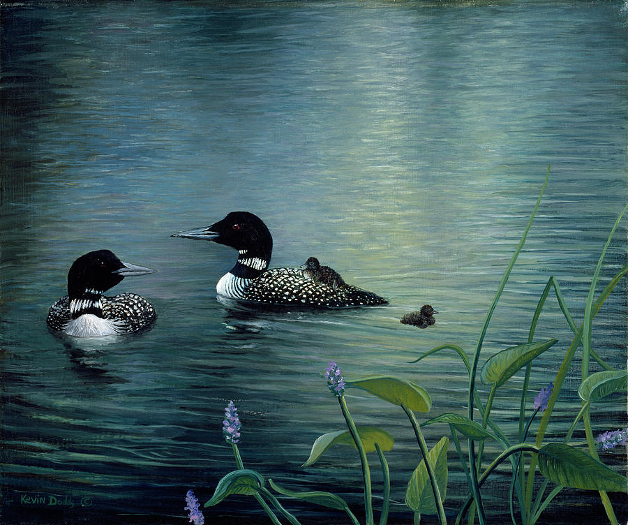 Duck Painting - Virginias Loons by Kevin Dodds