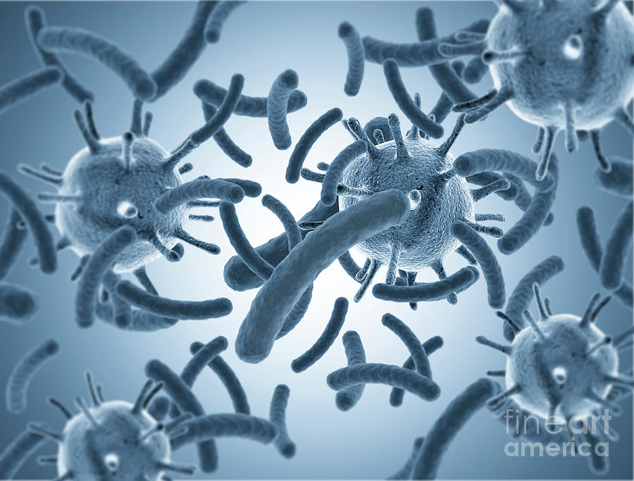 3 Dimensional Photograph - Viruses And Bacteria by Jesper Klausen/science Photo Library