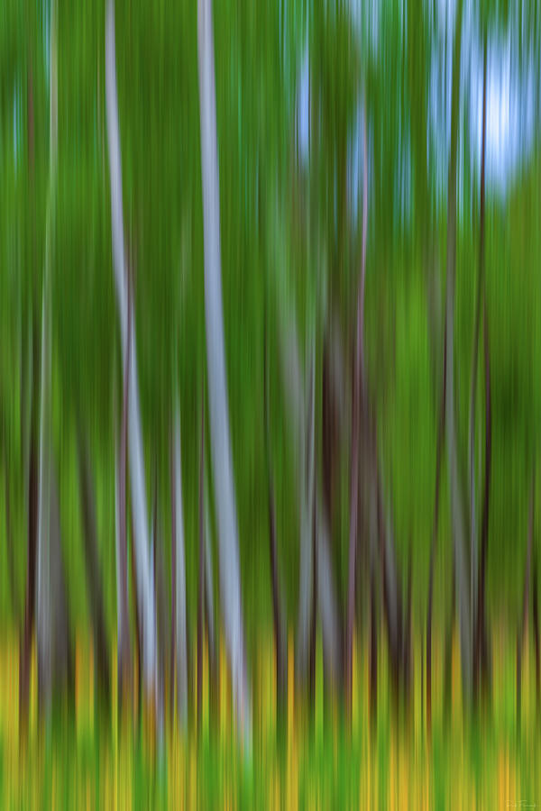 Visions of Summer by Rick Furmanek Visions of Summer by Rick Furmanek