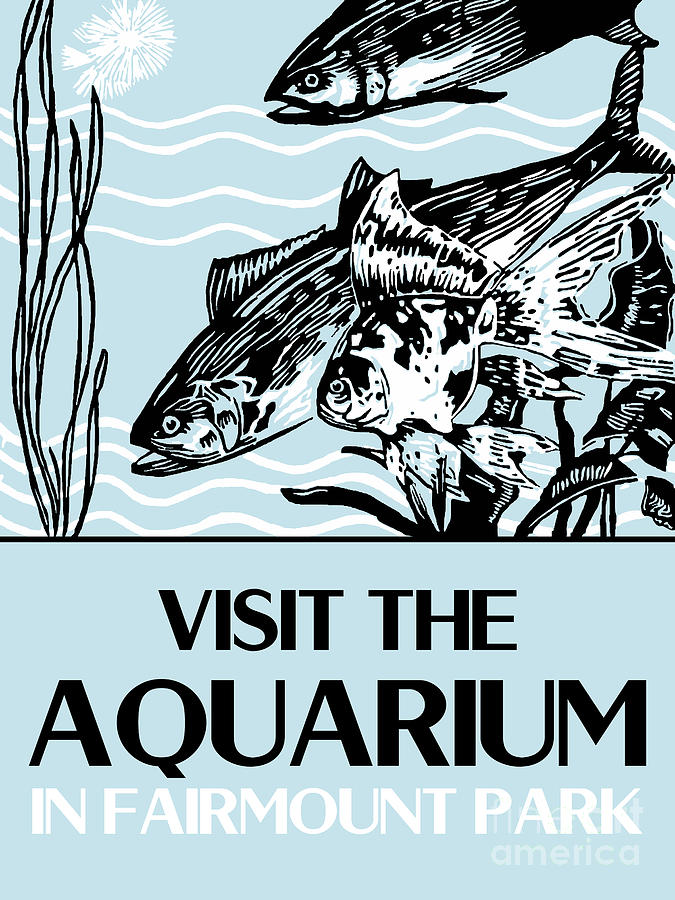 Visit the Aquarium Drawing by Heidi De Leeuw