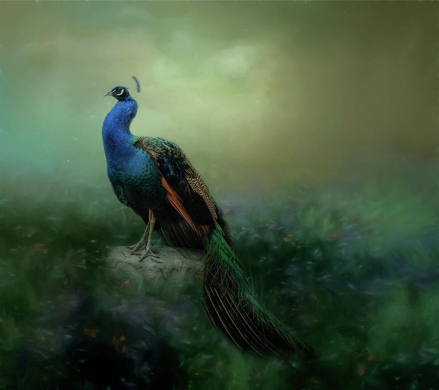 Visitor to the Garden by Kelley Parker Visitor to the Garden by Kelley Parker