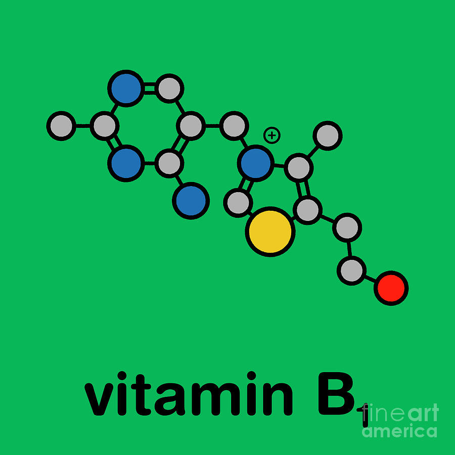 Vitamin B1 Molecule Photograph By Molekuul/science Photo Library