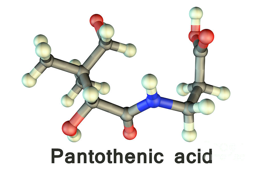Vitamin B5 Pantothenic Acid Molecule Photograph By Kateryna Konscience 4107