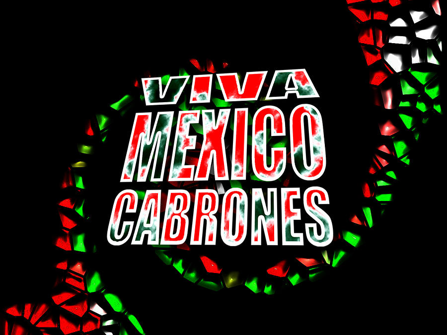 Viva Mexico | Sticker