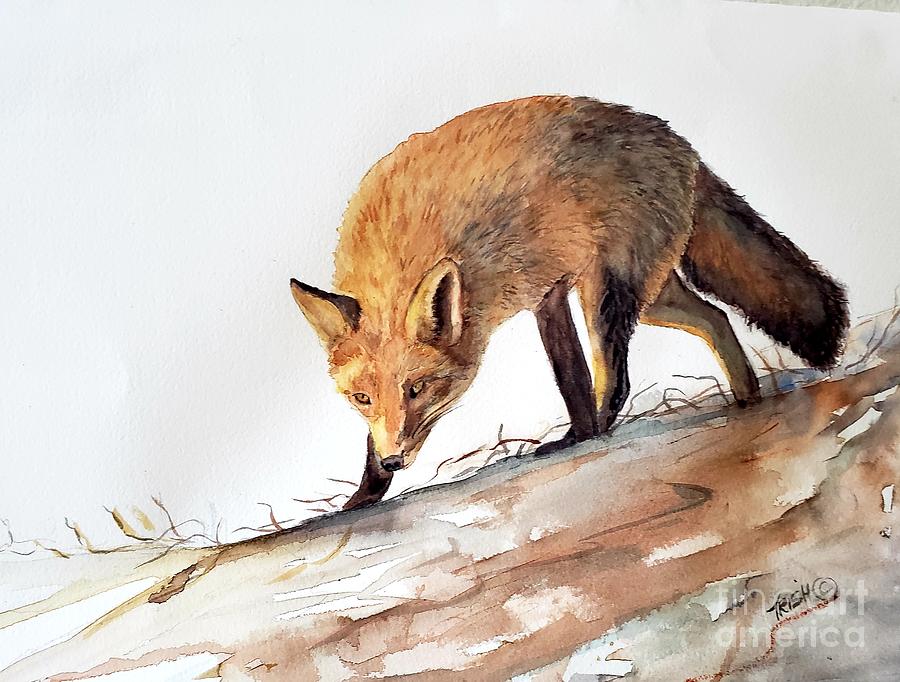Wildlife Painting - Vixen by Patricia Pushaw