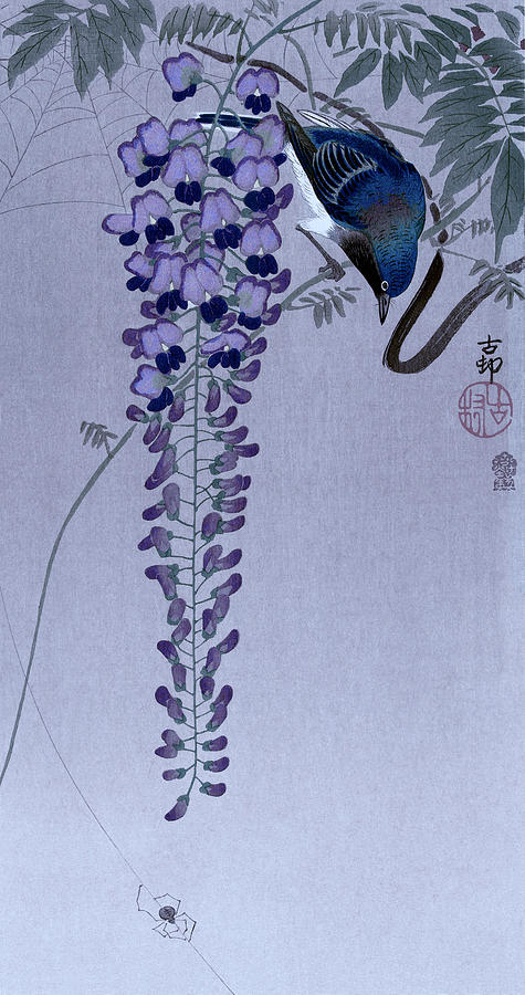 Vliegenvanger bij wisteria by Ruth Moratz Vliegenvanger bij wisteria by Ruth Moratz