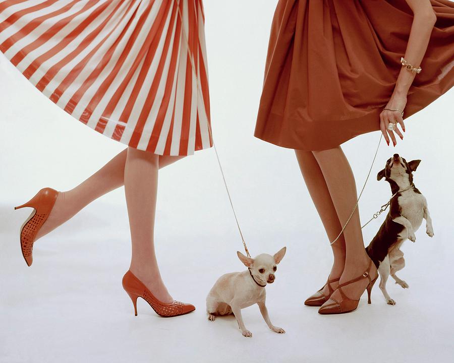 Vogue 1959 Photograph by William Bell Vogue 1959 Photograph by William Bell