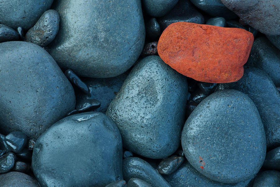 Volcanic Stones On Beach Photograph by Edwin Giesbers / Naturepl.com Volcanic Stones On Beach Photograph by Edwin Giesbers / Naturepl.com