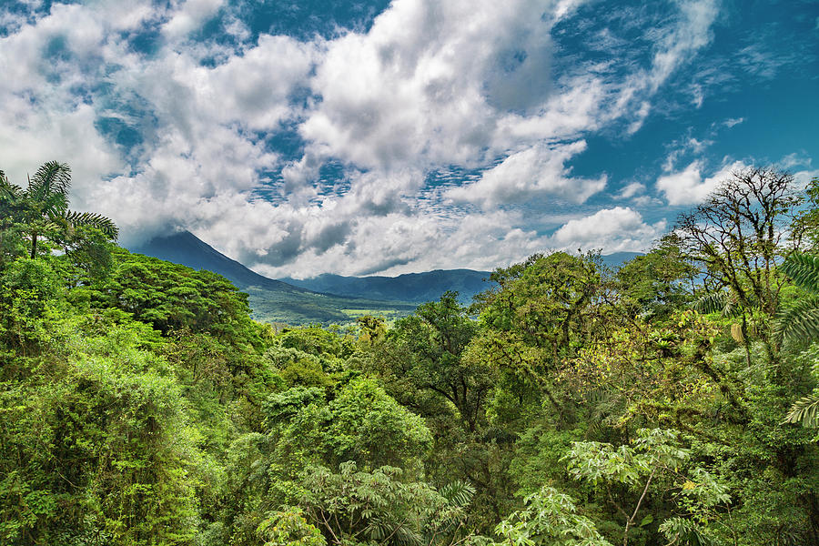 Jungle Photograph - Volcano in the Distance by Betsy Knapp