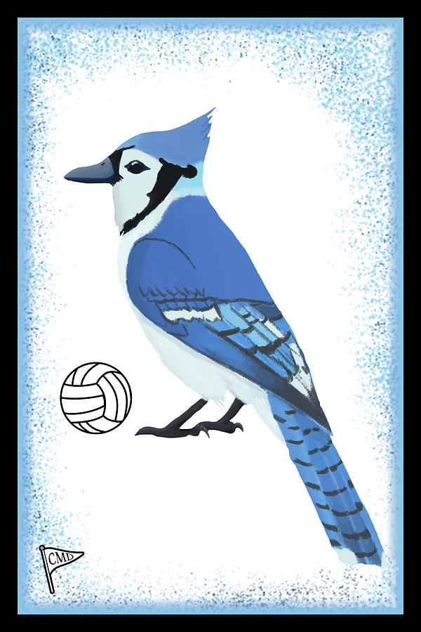 Volleyball Blue Jay Digital Art