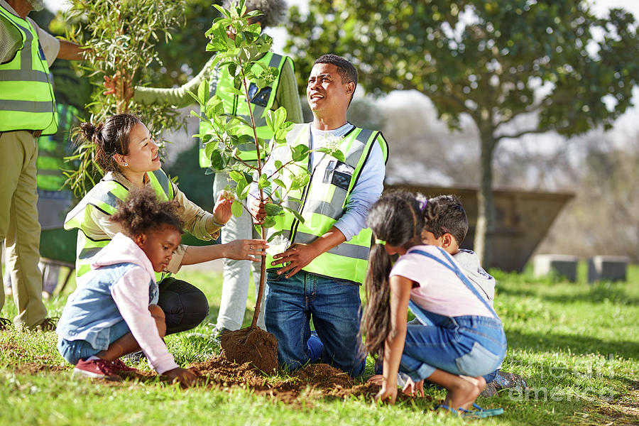 Volunteers Planting Tree In Park Photograph By Caia Image/science Photo ...