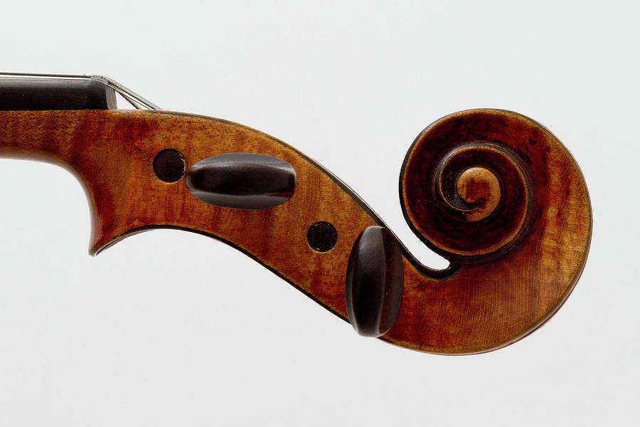 Volute Of  Mirecourt Violin Photograph by Boma.dfoto@gmail.com