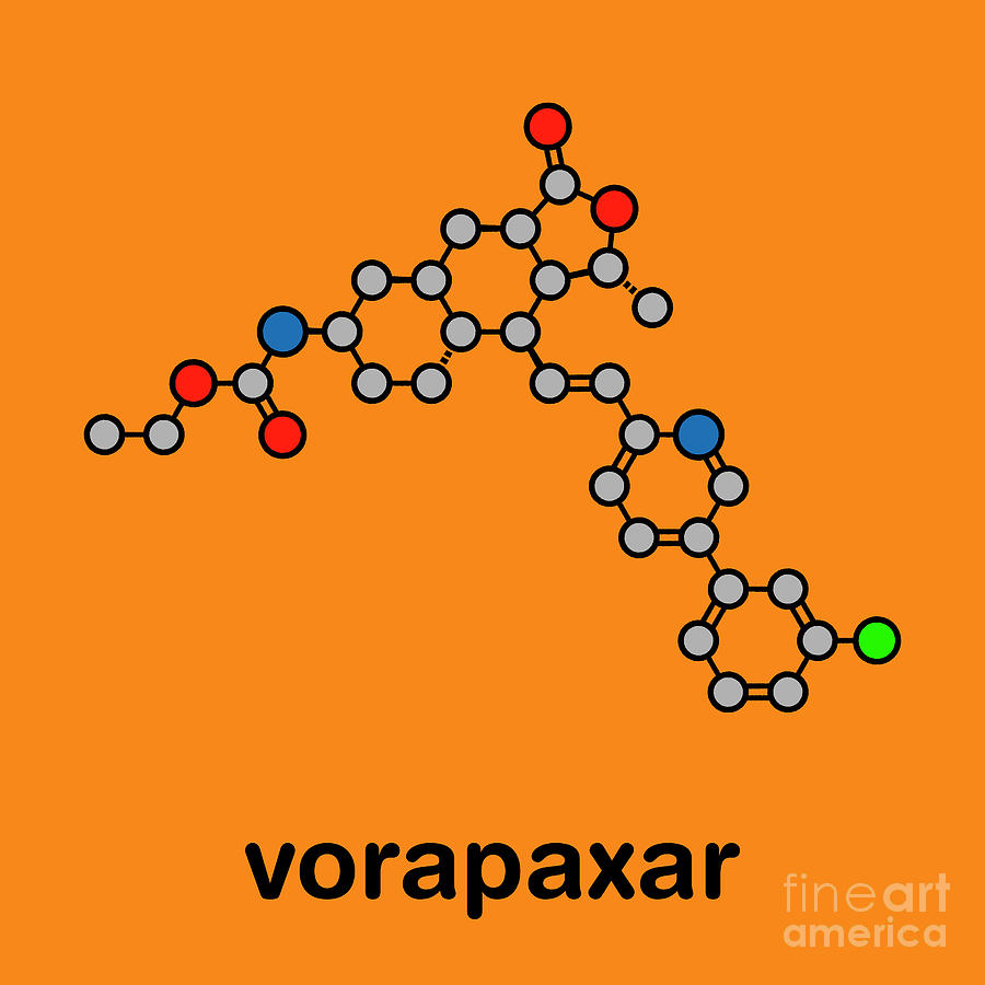 Thrombin Photograph - Vorapaxar Acute Coronary Syndrome Drug by Molekuul/science Photo Library