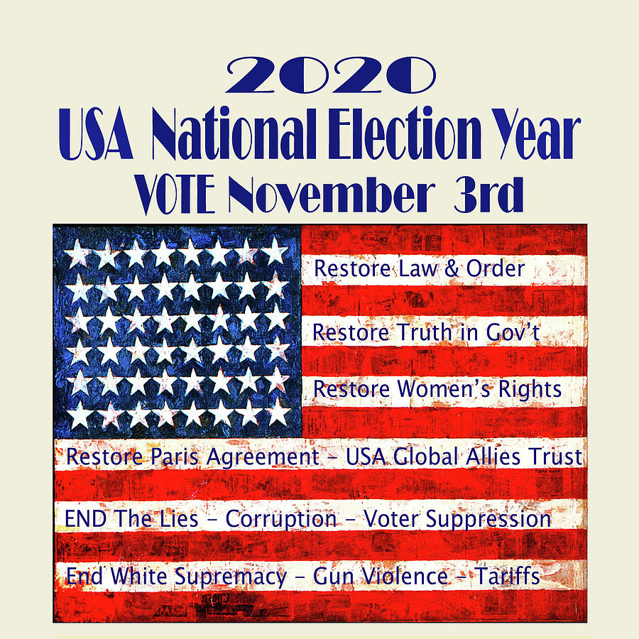 Vote for Democracy 2020 Digital Art by Vagabond Folk Art - Virginia Vivier