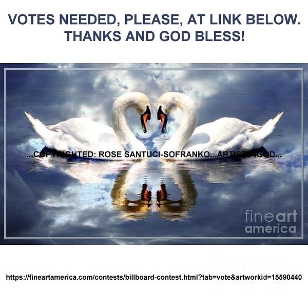 VOTES NEEDED SWANS by Rose Santuci-Sofranko VOTES NEEDED SWANS by Rose Santuci-Sofranko