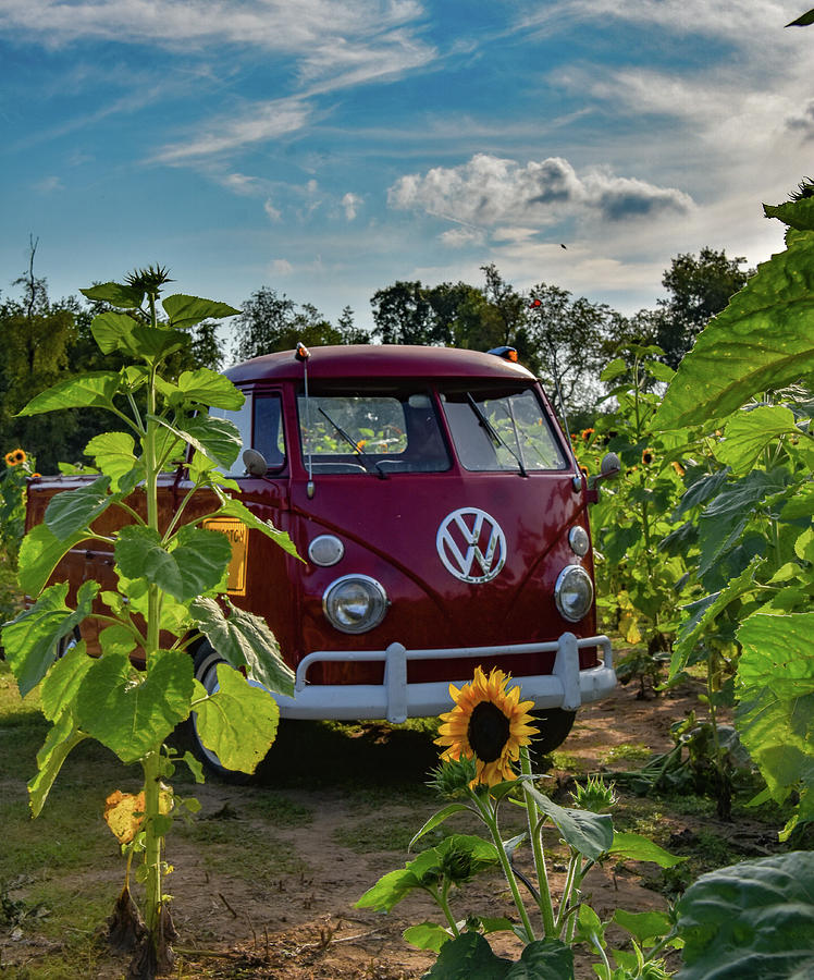 VW Van Photograph by Michelle Wittensoldner