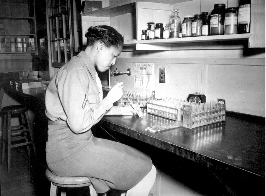 WAC Trainee does blood work in Lab Painting by US Army Signal Corps ...