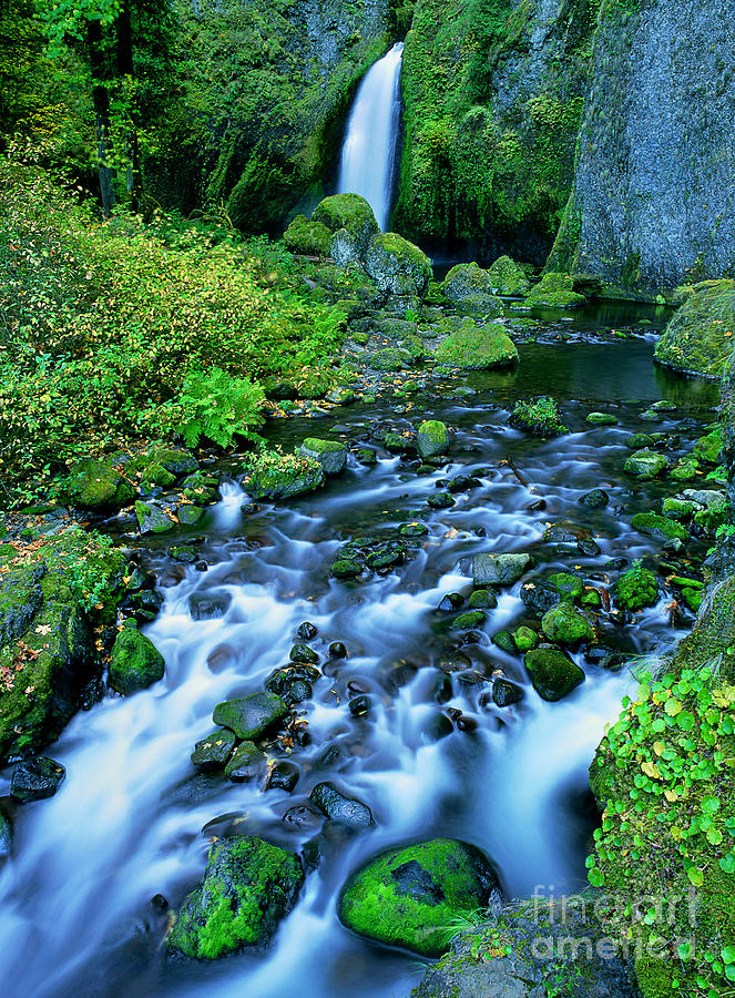 Wachlella Falls Columbia River Gorge National Scenic Area Oregon Photograph by Dave Welling