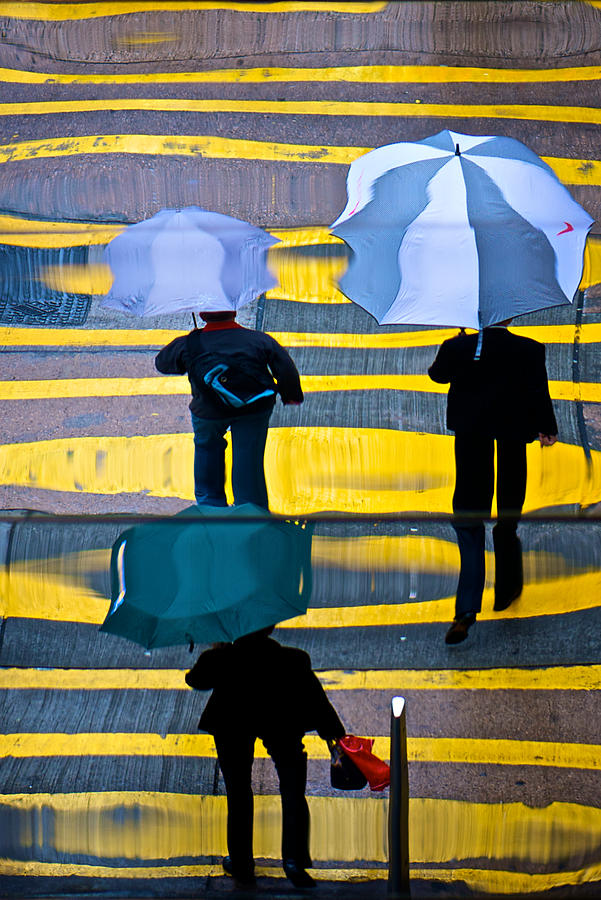Umbrella Photograph - Wade Through by Nicolo Bellotto