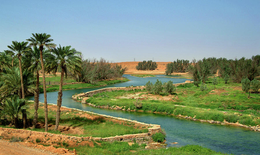 Wadi In Majmaah, Between Riyadh And Al by Ali Al Mubarak