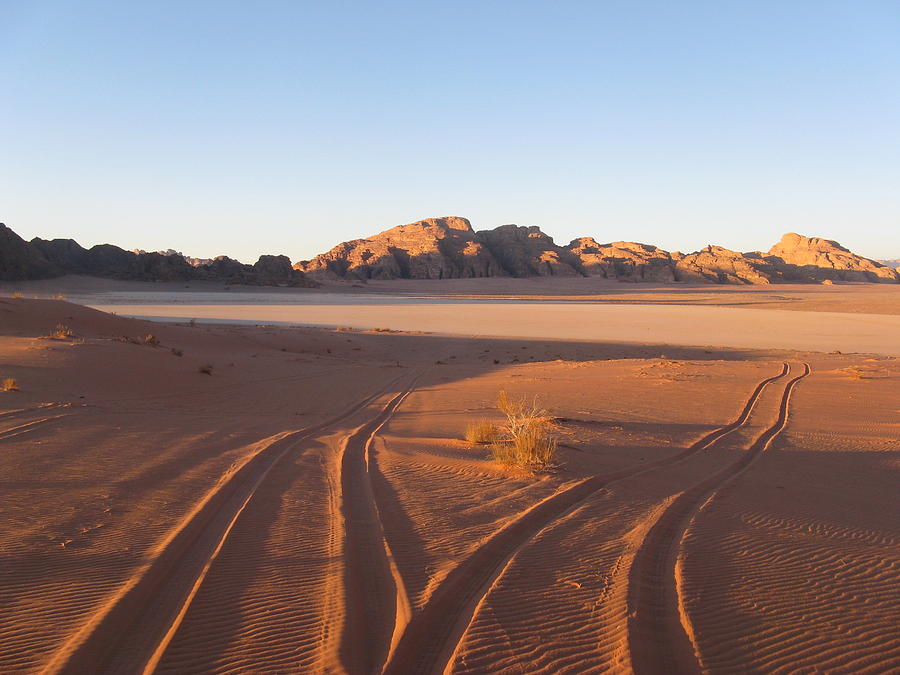 Desert Photograph - Wadi Rum Tracks by Inge Elewaut