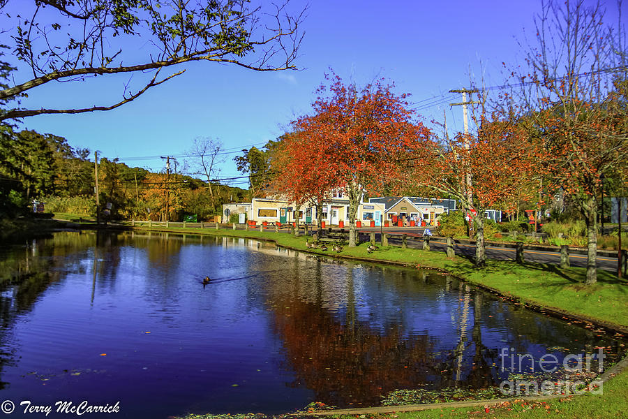 Wading River Duck Pond Photograph by Terry McCarrick Fine Art America