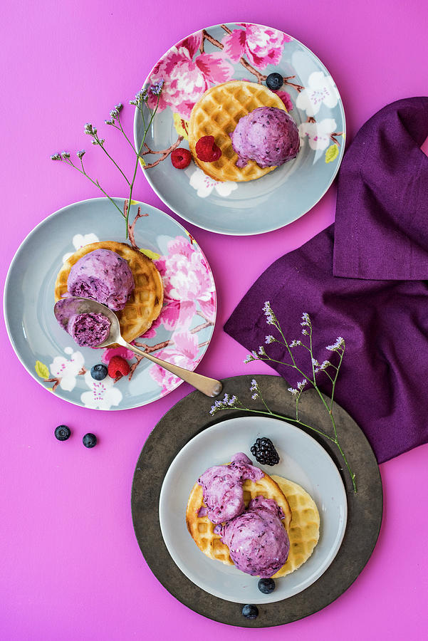 Waffles With Berry Icecream Photograph by Hein Van Tonder