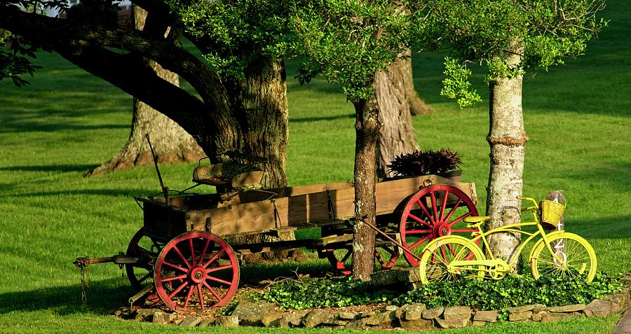 Wagon and Yellow Bicycle Photograph by Douglas Barnett