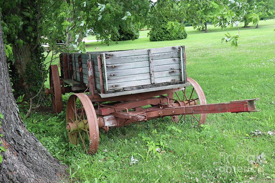 Wagon in Ky Photograph by Dwight Cook