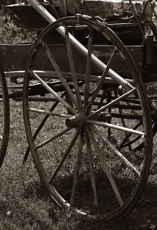 Wagon Wheel Photograph - Wagon Wheel by Amanda Smith